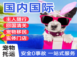 攀枝花保安营空运地址国际宠物托运 【国